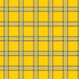 Meet your Posher, Andre jr.